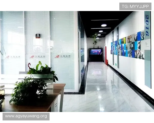 凯发旗舰厅注册登录界面优化升级，带来更流畅的操作体验